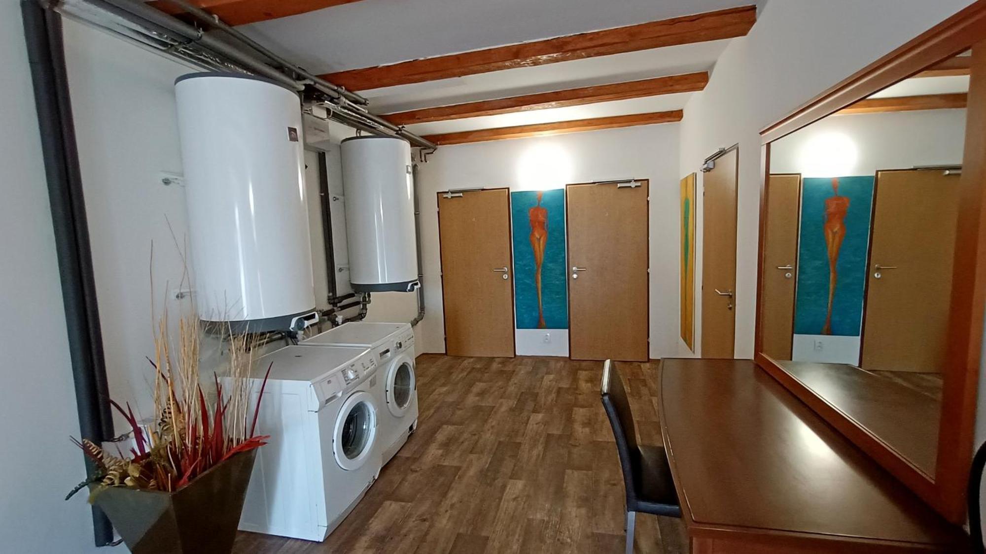 Apartments Gato Karlovy Vary Dalovice Екстер'єр фото