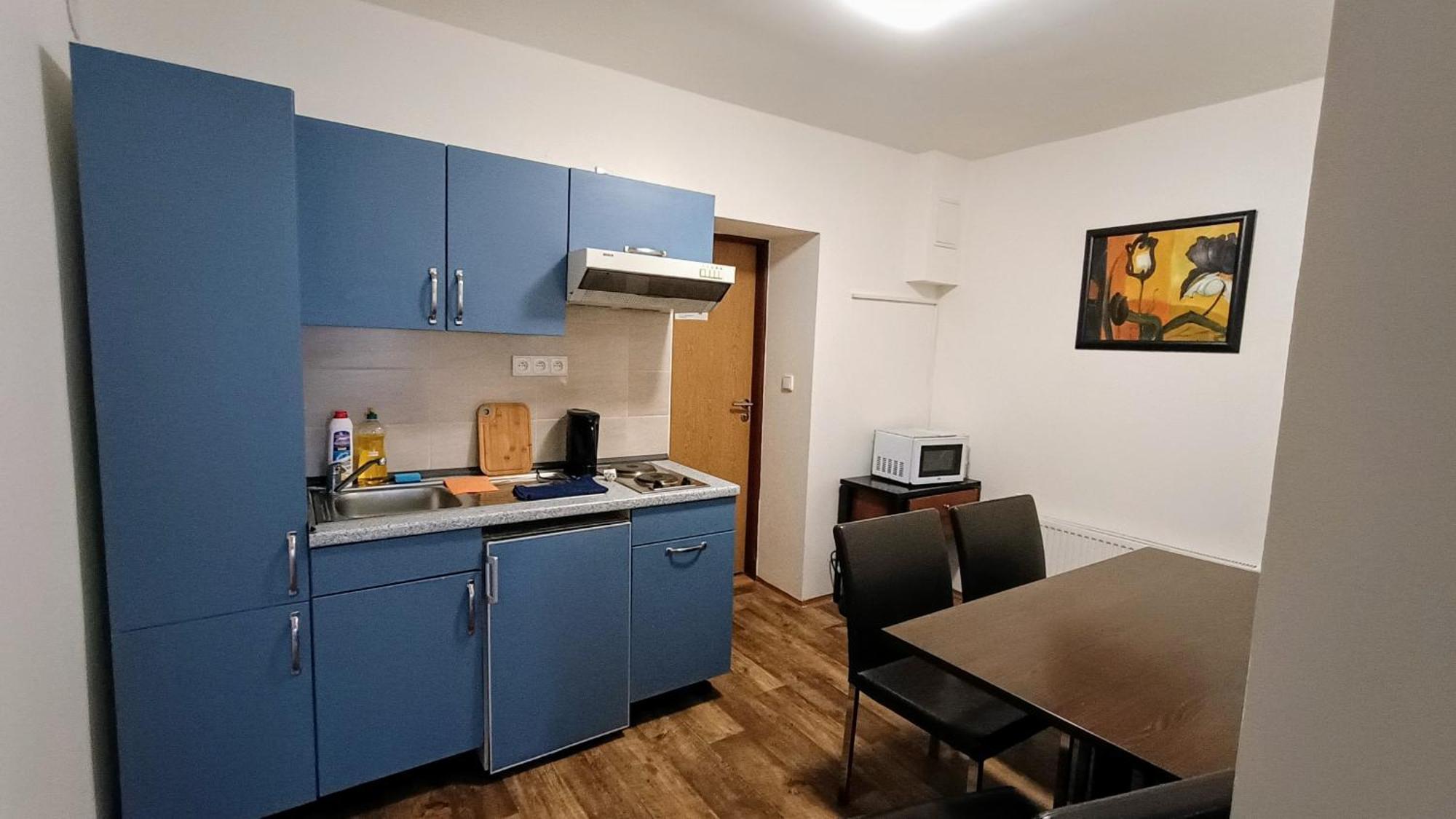 Apartments Gato Karlovy Vary Dalovice Екстер'єр фото